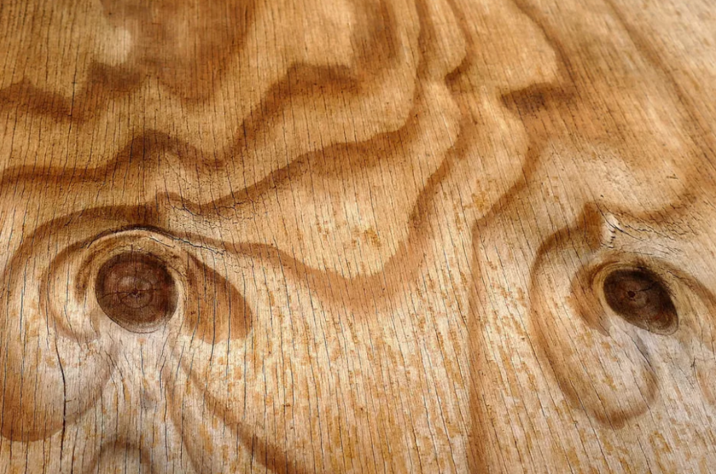 Пороки древесины свилеватость. Завиток порок древесины. Пороки строения древесины свилеватость. Пороки древесины глазки. Деревья глазки